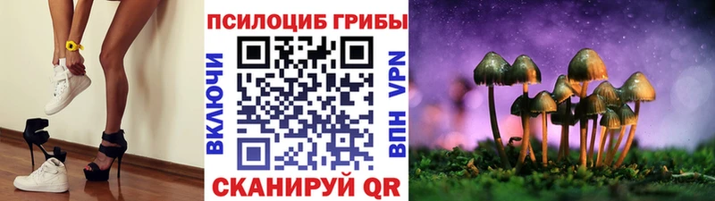 Галлюциногенные грибы MAGIC MUSHROOMS  Тольятти 