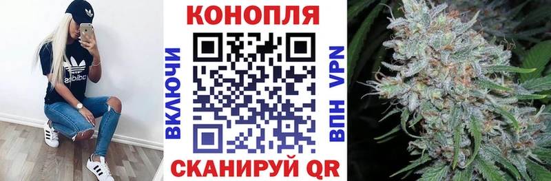 Шишки марихуана семена  Тольятти 